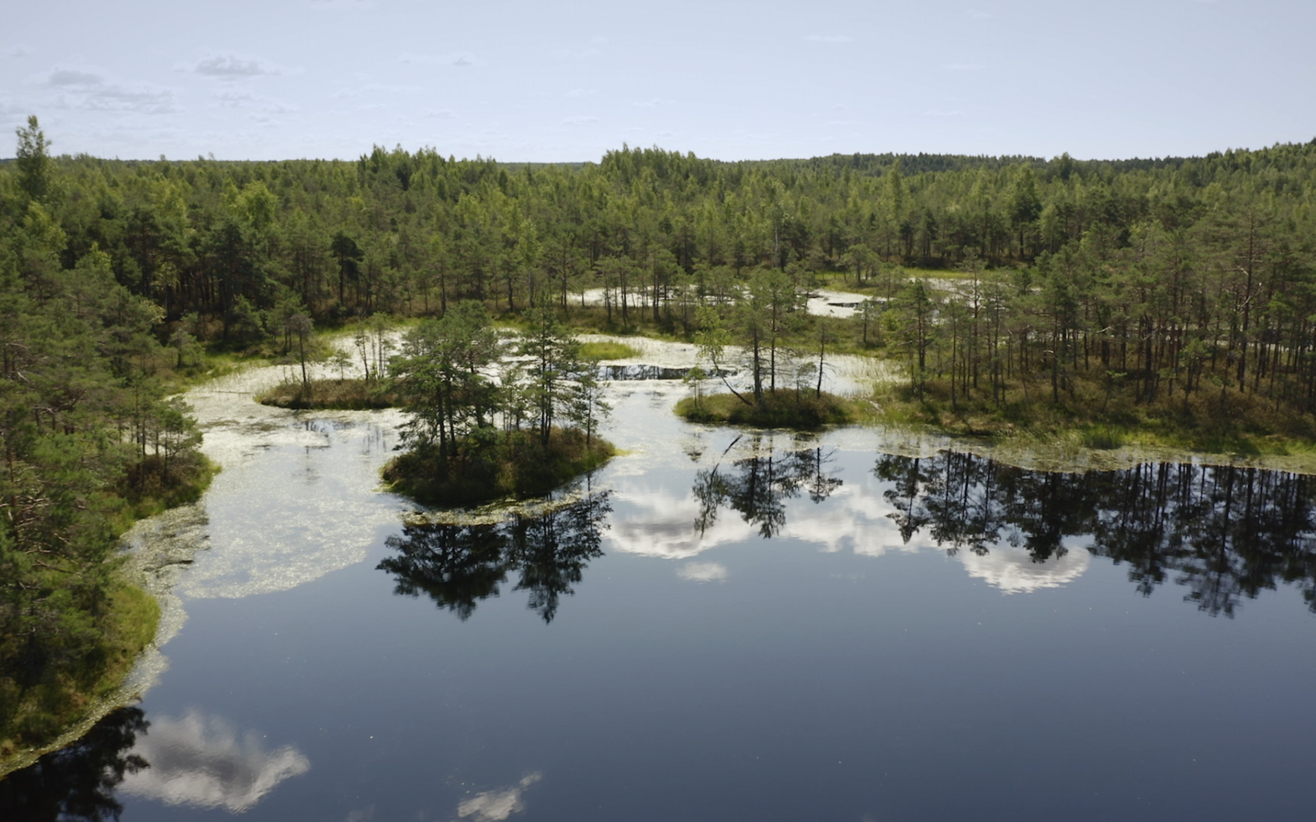 Des mains vertes pour la nature