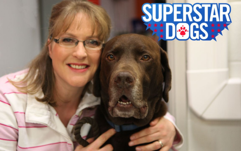 Superstar Dogs
