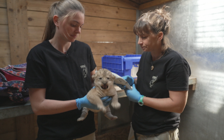 Naissances Extra-ordinaires au Zoo