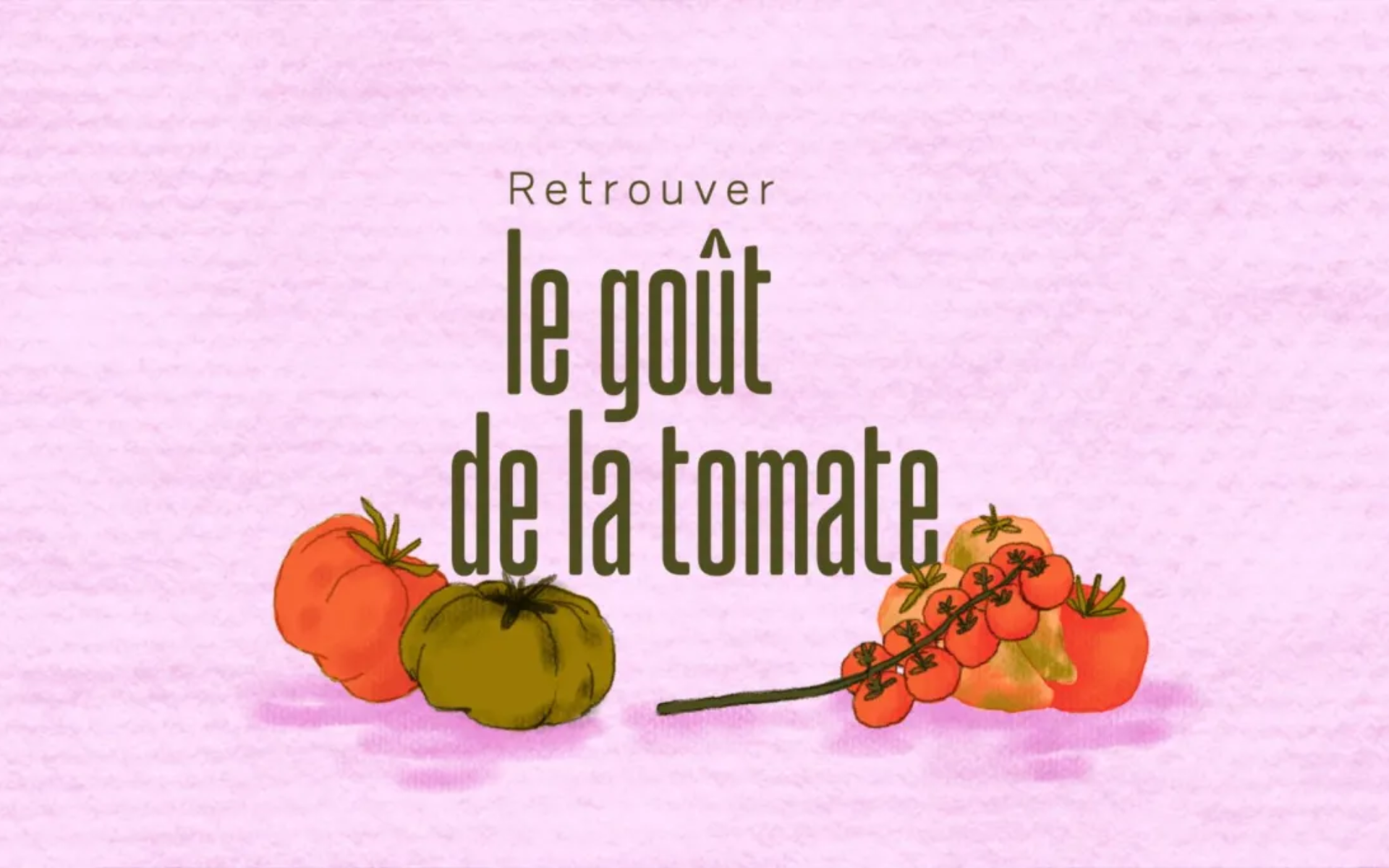 Retrouver le goût de la tomate