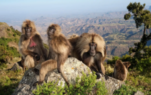 Le royaume des nuages