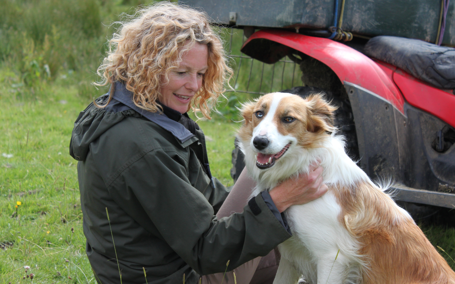 Mon Chien de Berger et Moi