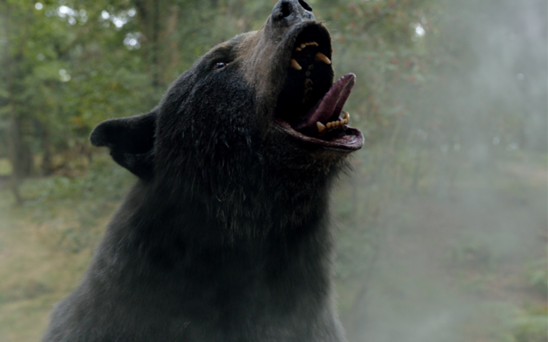 Crazy bear