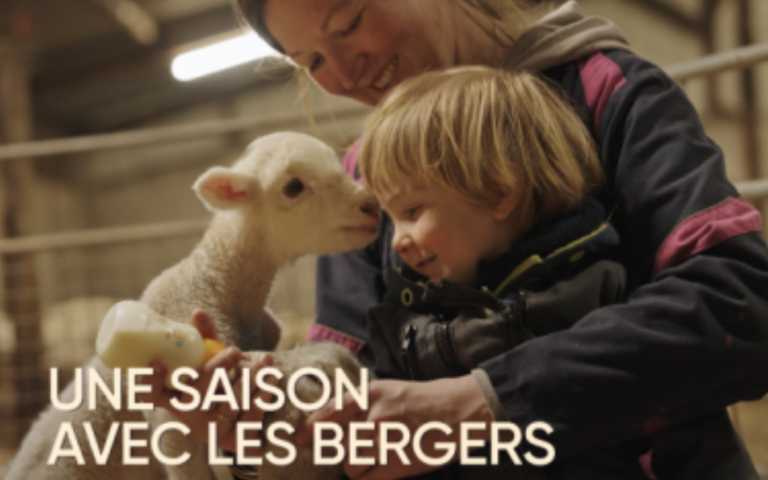 13h15 le samedi Une saison avec les bergers