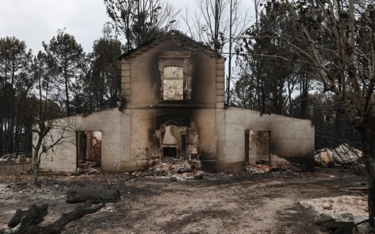 Forêt calcinée en Gironde après les incendies de l'été, illustration de l'émission « Enquêtes de région » sur ici Nouvelle-Aquitaine
